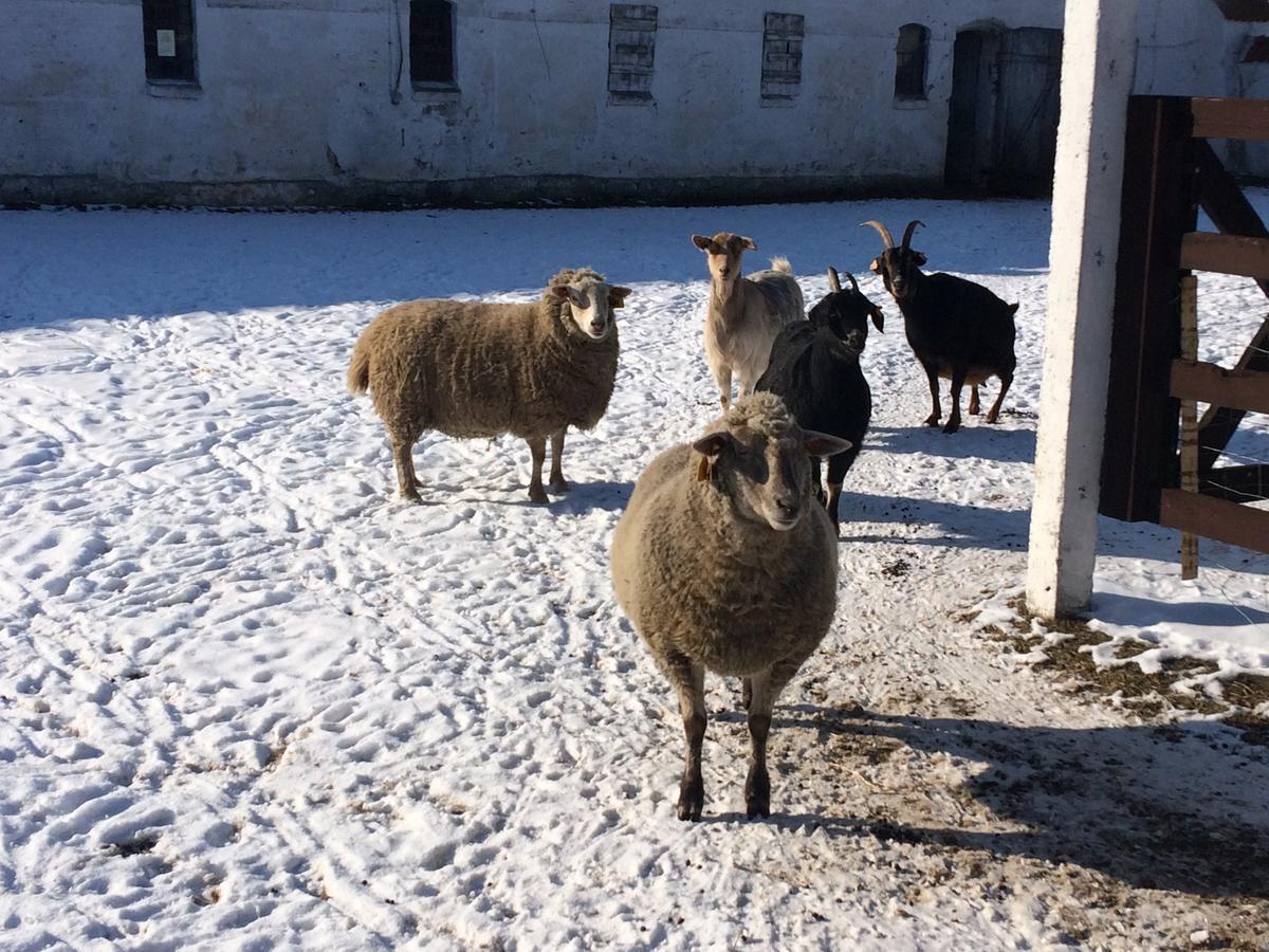 Folwark Luknajno Nad Jeziorem Sniardwy Gospoda Dziedzictwo Kulinarne Warmia-Mazury Mikołajki 外观 照片